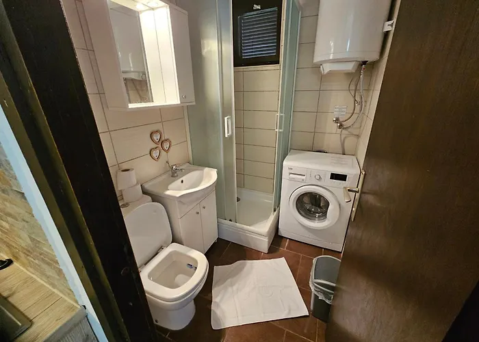 Apartma Park Ucka 아파트 포레치