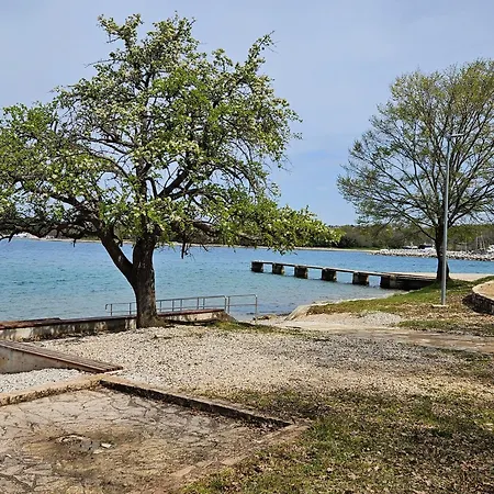 Apartma Park Ucka 波雷奇