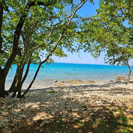 Apartma Park Ucka * 波雷奇